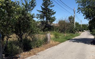 Teren intravilan 4.000 mp Comana (Budeni) | 10 €/mp negociabil | Comis - Poză 3