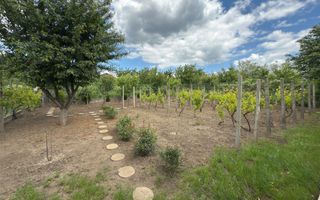 Proprietate deosebită în Aroneanu – 2 case pe teren generos de 1209 mp - Poză 10