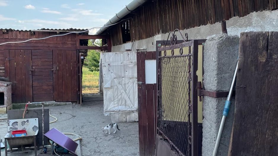 Casa parter 35 km de la Timisoara - Poză 17