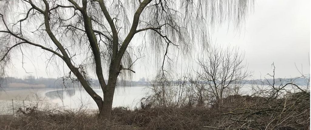 Deschidere la Lac Buftea, teren 1360, D 22m, D+P+1E, toate utilitatile - Poză 3