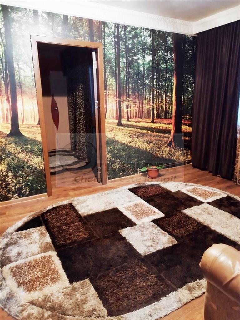 2 CAM PODU ROS PALAS CANTEMIR FARA RISC ETAJ INTERMEDIAR - Poză 2