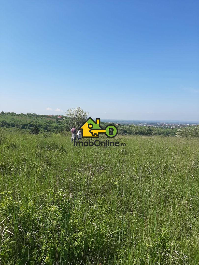 Teren de vânzare în Lugoj, judet Timis - Poză 7