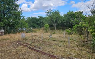Casa cu teren generos | Spinus | Bihor - Poză 8