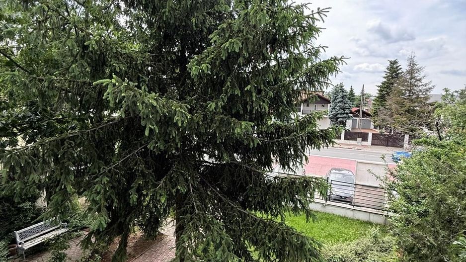 Vila/Spatiu comercial Bd Pipera - Poză 4