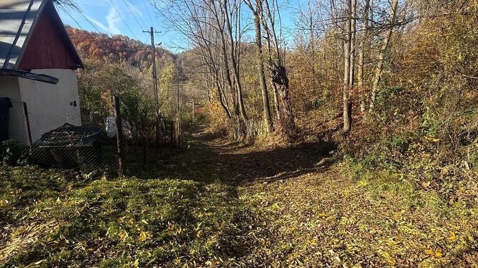 Teren langa pădure 6400mp+casa demolabila-deschidere 35 ml - Poză 18