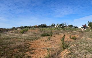 Teren intravilan 3961 MP | Paleu | Bihor - Poză 3