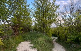 12,5 Ari Teren pentru Constructii Răzeni/Ialoveni - Poză 3
