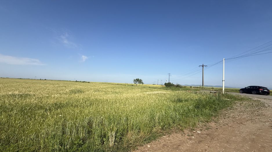 Teren 10 hectare pretabil pt panouri solare-Aricesti Rahtivani - Poză 4