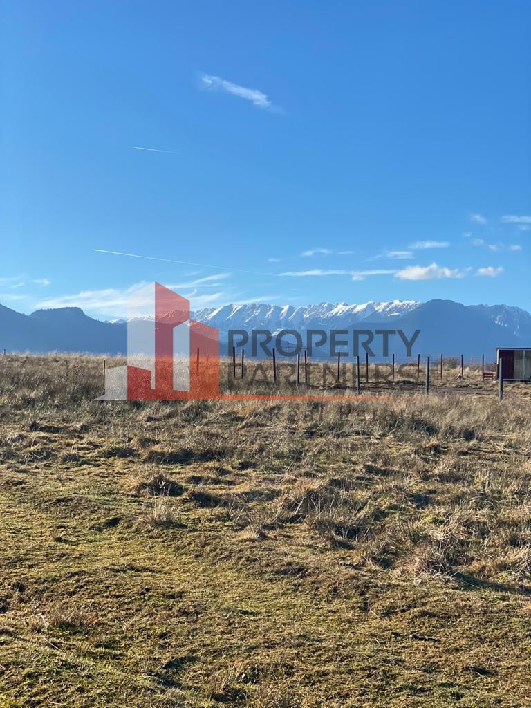 Teren Sohodol 10.000 mp - Poză 6