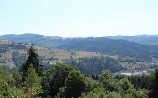 Terenuri Carpinis I parcelabil I Curent pe proprietati - Poză 3