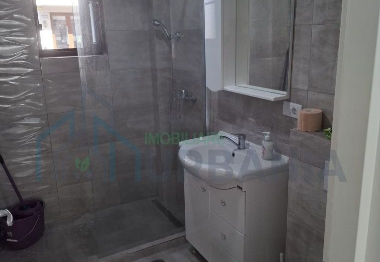 Apartament 2 camere, parter, mobilat, Valea Adâncă - Str. Ilias Vodă - Poză 3
