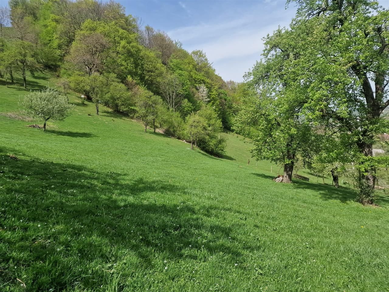 Langa emblematicul Castelul Bran, in areal colinar, 5.700mp intravilan - Poză 13