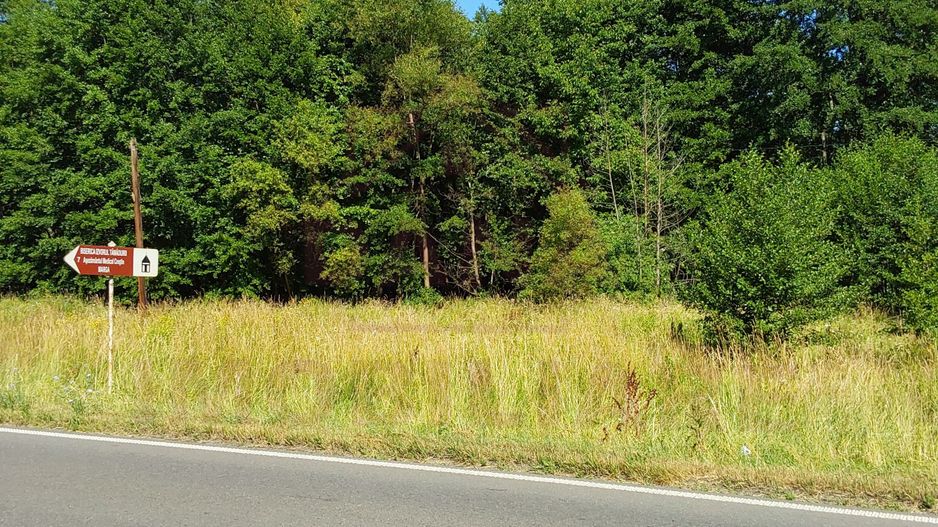 TEREN INTRAVILAN ÎN MARGA-LA DN68 JUD.CARAȘ-SEVERIN - Poză 1