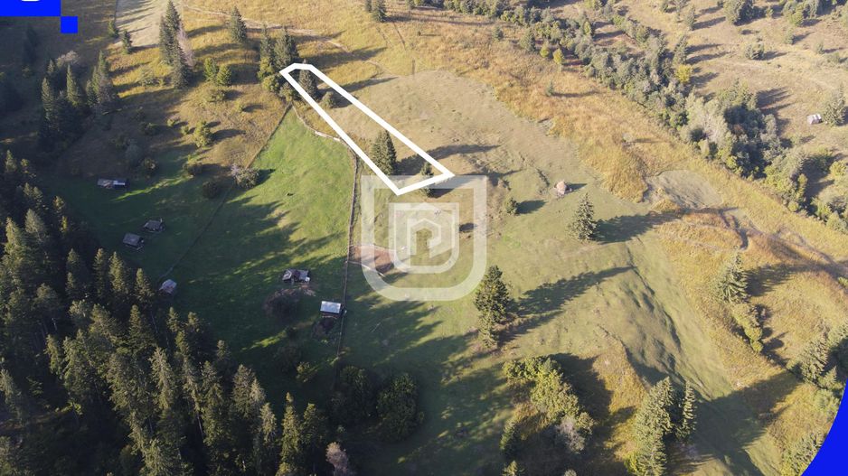 Teren situat in Frasin | BUCOVINA - Poză 6