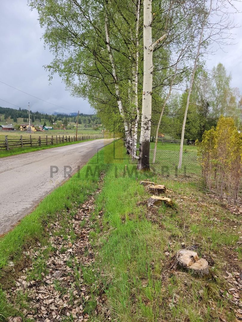 Teren Saru Dornei / Neagra Sarului - oportunitate investitie - Poză 1