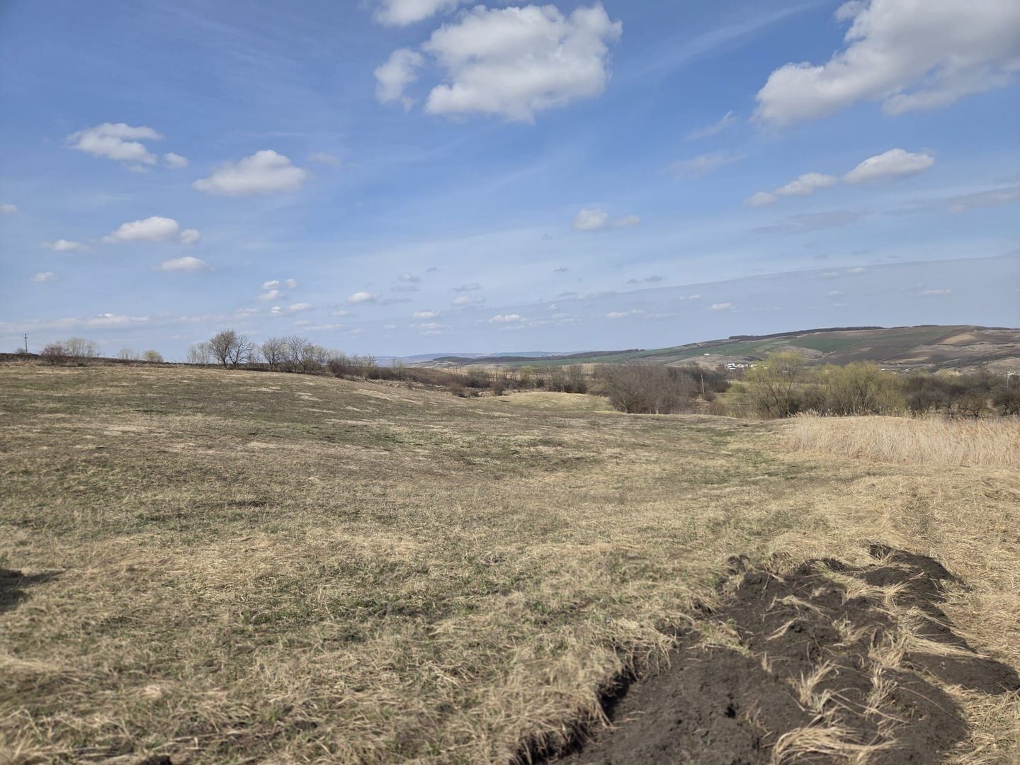 Teren de vanzare Pata Cluj - Poză 2