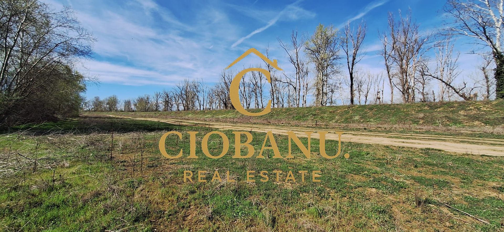 Casa de vanzare in Leamna de Jos - Poză 12