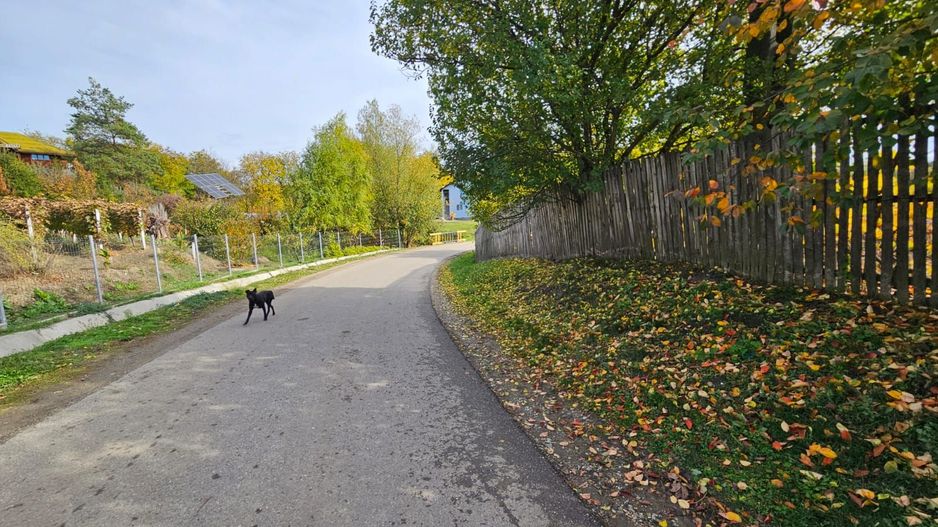 Teren intravilan 690 mp, utilități, lângă Spital Călinești - Poză 3