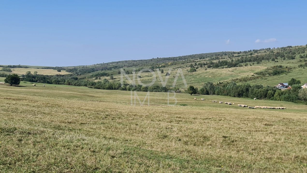 Casa individuala - 684 mp teren, Marpod - Poză 10