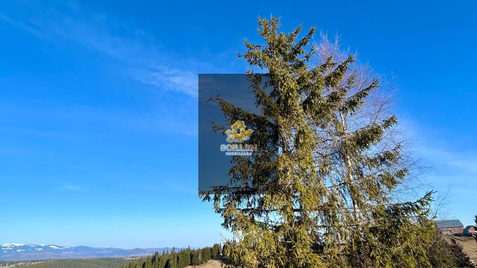 Cabana A-Frame de vânzare | Mărișel – view spectaculos - Poză 11