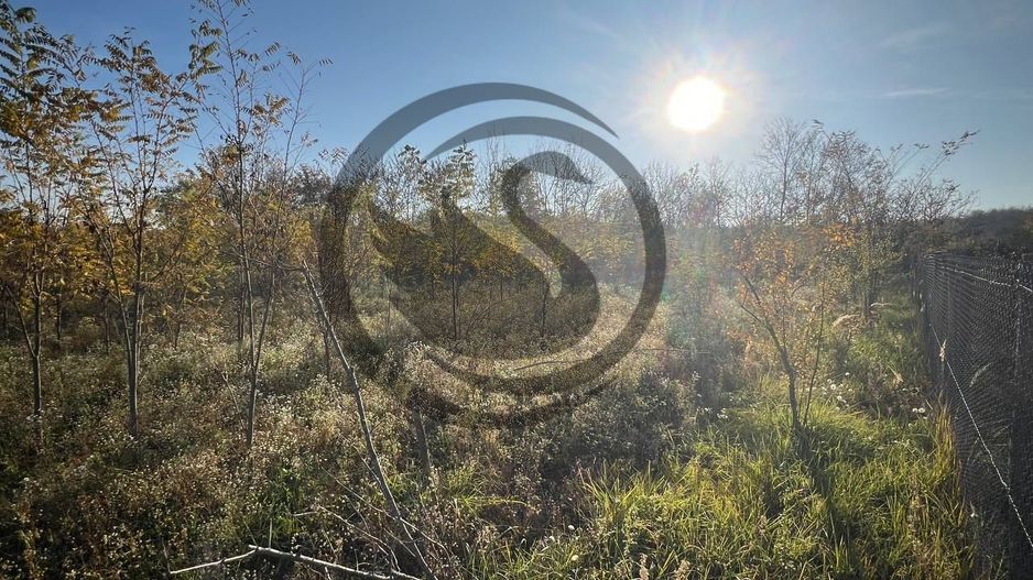 Teren intravilan de vanzare | 12.650 mp | Ghirdoveni, | COMISION 0% - Poză 13
