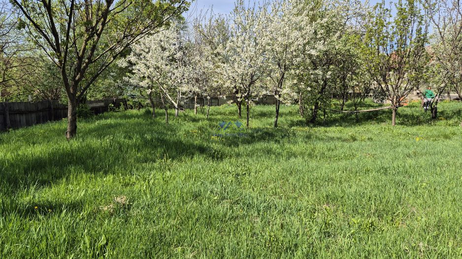 Vand casa 2 camere, 90mp, Silvasul de Jos, teren 1295, deschidere 62m - Poză 6