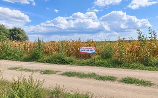 TEREN PENTRU GRĂDINI – 12 ARI | FLORENI, ANENII NOI - Poză 7