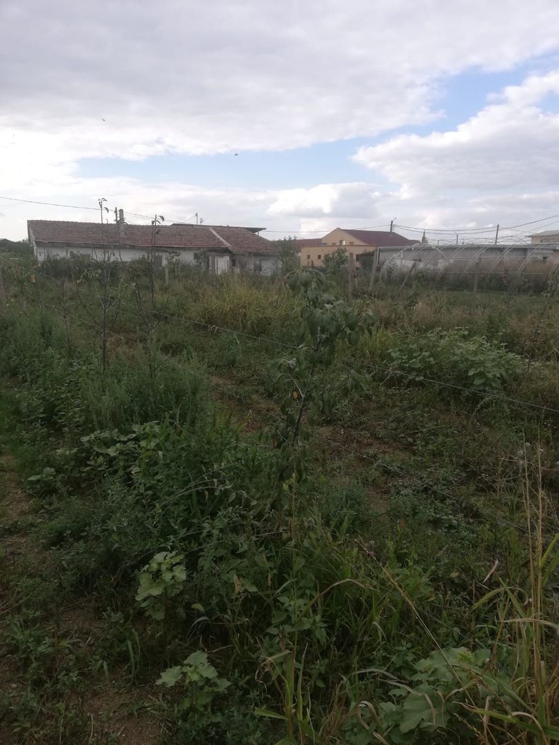 Ferma de vânzare - Poză 11