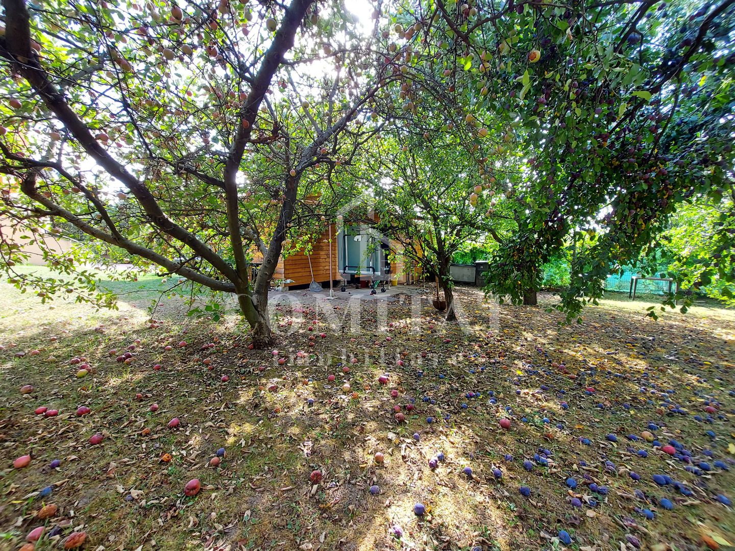 Vilă în Făget | Sediu companie | 2.412 mp teren 8 parcări - Poză 15