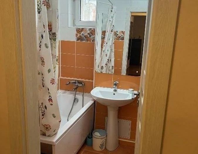 Inchiriere Apartament cu Centrala Unirii Mămulari - Poză 11
