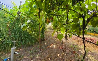 Teren intravilan 633mp in Gradiste - Poză 3