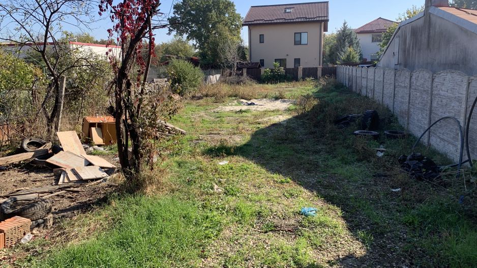 VANZARE TEREN 500MP-SISESTI-PADURE - Poză 4