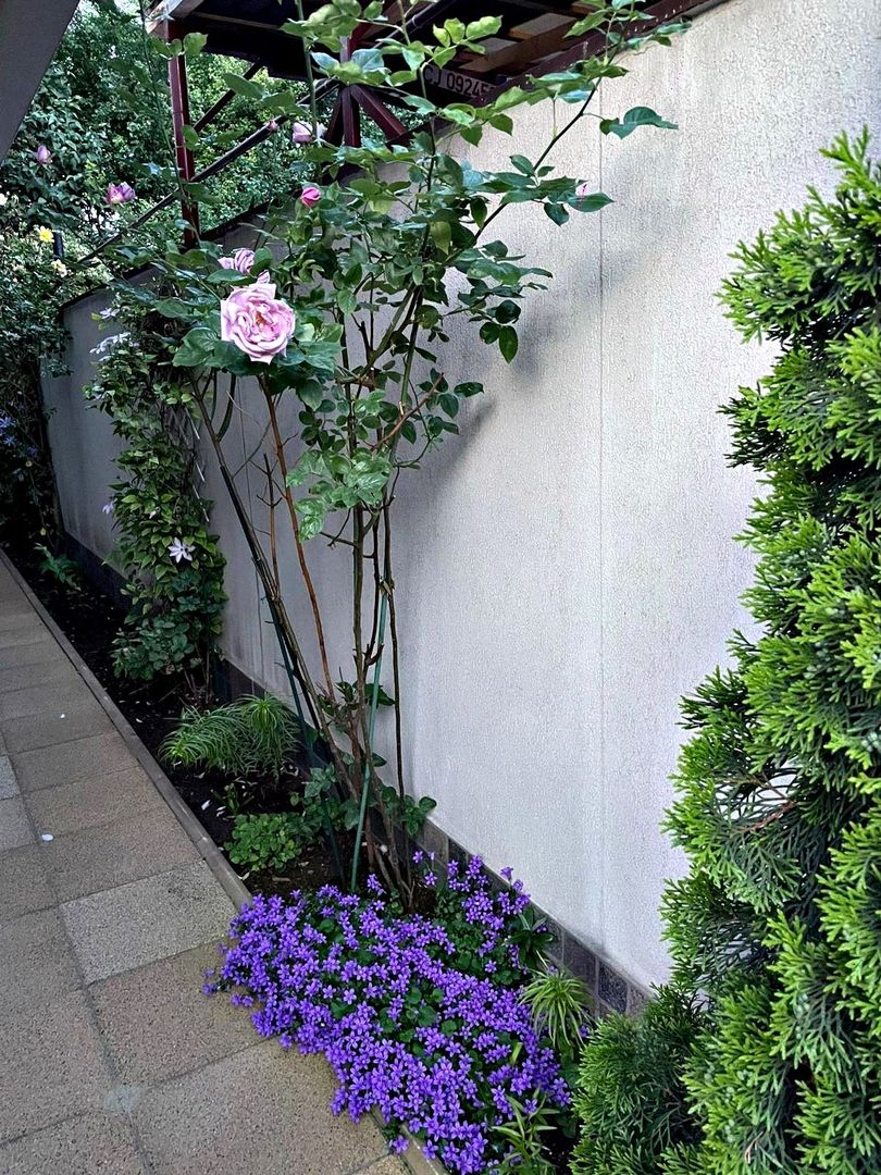 Bartolomeu, (zona strada Lungă), casa construcție 2009 - Poză 28