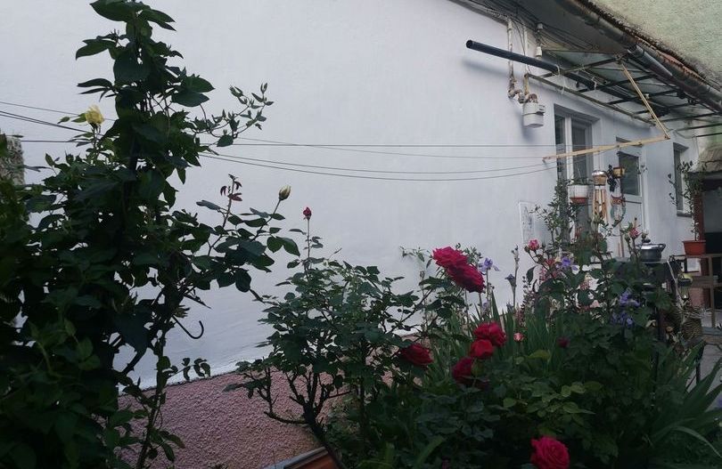 Apartament in casa - Poză 2