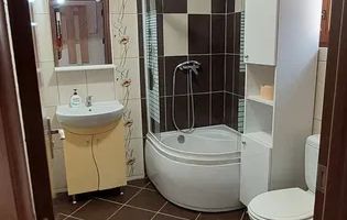 PROPRIETAR inchiriez  (vand ) casa INDIVIDUALA  P+M in Dumbravita - Poză 8