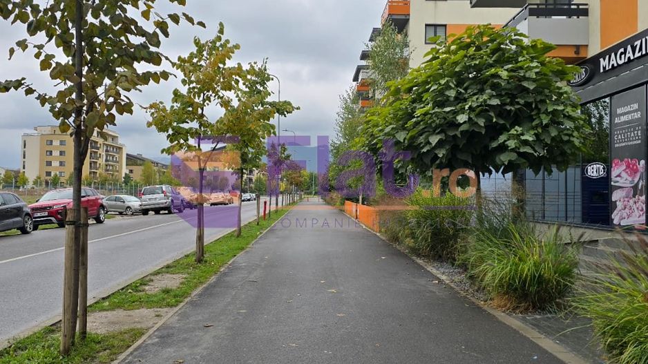 Spațiu comercial în zonă cu vad – Tractorul Coresi - Poză 3