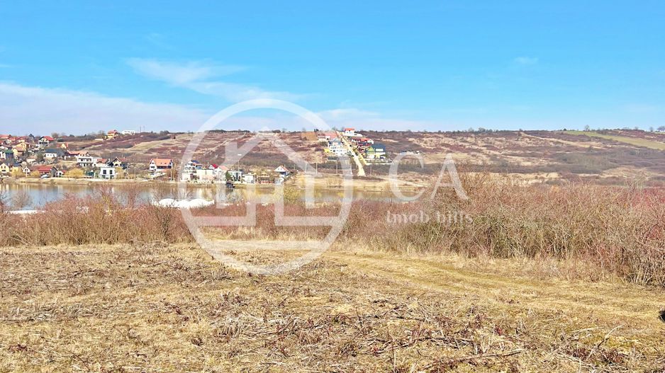 Teren 10.071 mp de vanzare in Paleu, Bihor - Poză 1