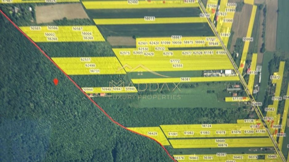 Teren INTRAVILAN***4701 mp8***Oportunitate investitie// Silistea Sangovului - Poză 2