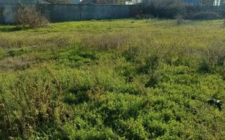 Vand teren Drobeta Turnu Severin - Poză 1