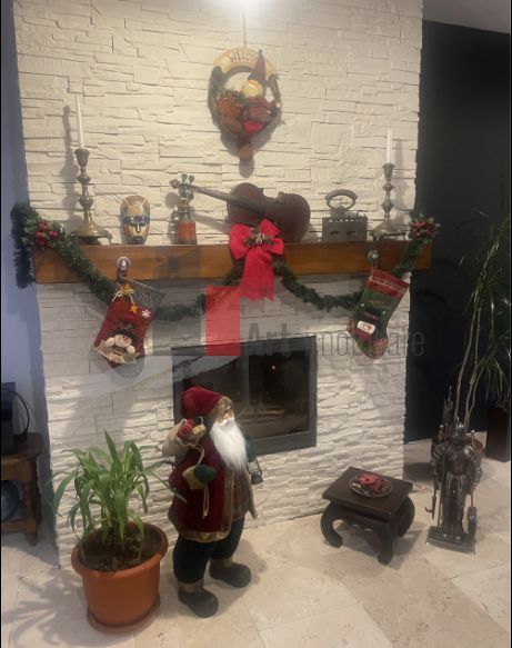 Vila individuala in Baneasa - Poză 2