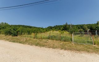 Teren intravilan Ștefănești Valea Mare Podgoria - Poză 1