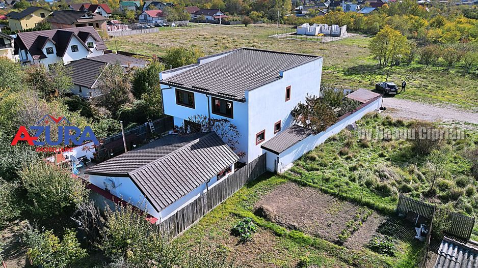 AZURA Imobiliare - 2 Case, 1 Camin - Smeura 250 m din DN zona Hintesti - Poză 25