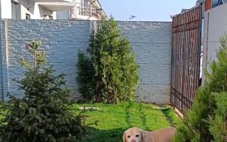 Casa insiruita 4 camere parter+etaj+pod | Bragadiru | 172.000 EUR - Poză 5