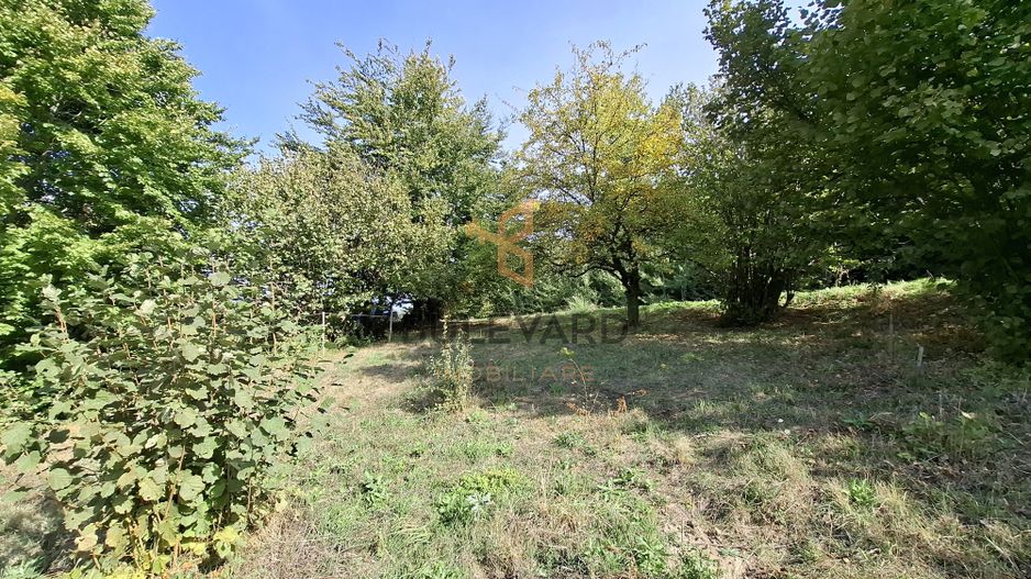 Comision 0. Teren cu autorizatie de construire in Salicea - Poză 7