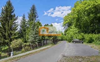 Oportunitate, Restaurant cu MiniPensiune 800mp, 1,8ha teren, Via Transilvanica - Poză 47