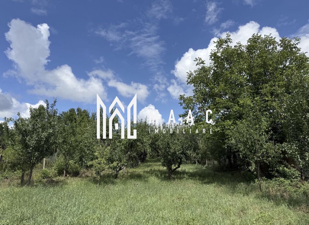 Casă de renovat I teren 1400 mp I Livadă I Central Săcel - Poză 5