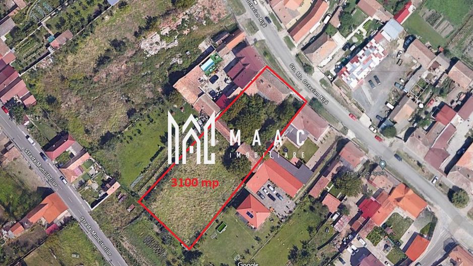 Casa | 3100 mp teren | Gusterita - Poză 1