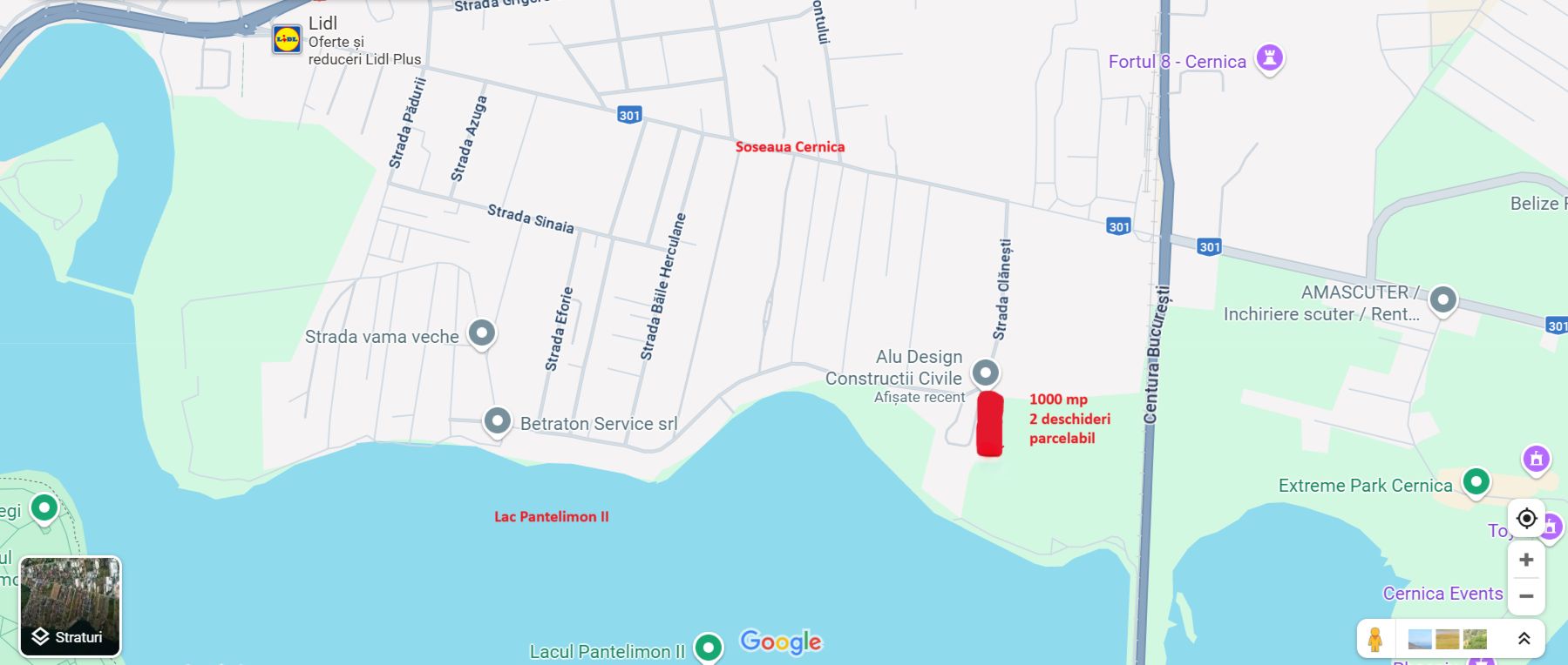 Teren Cernica intravilan 1000 mp - Poză 3