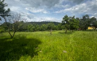 TEREN INTRAVILAN 4600 MP, VOINESTI, LERESTI, ARGEȘ