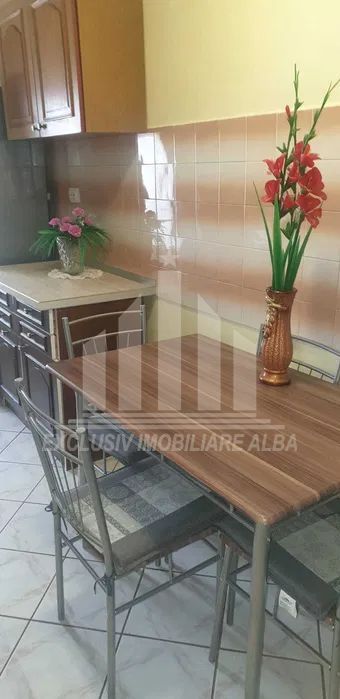 Apartament cu 2 camere decomandate, Cetate-Mercur - Poză 3